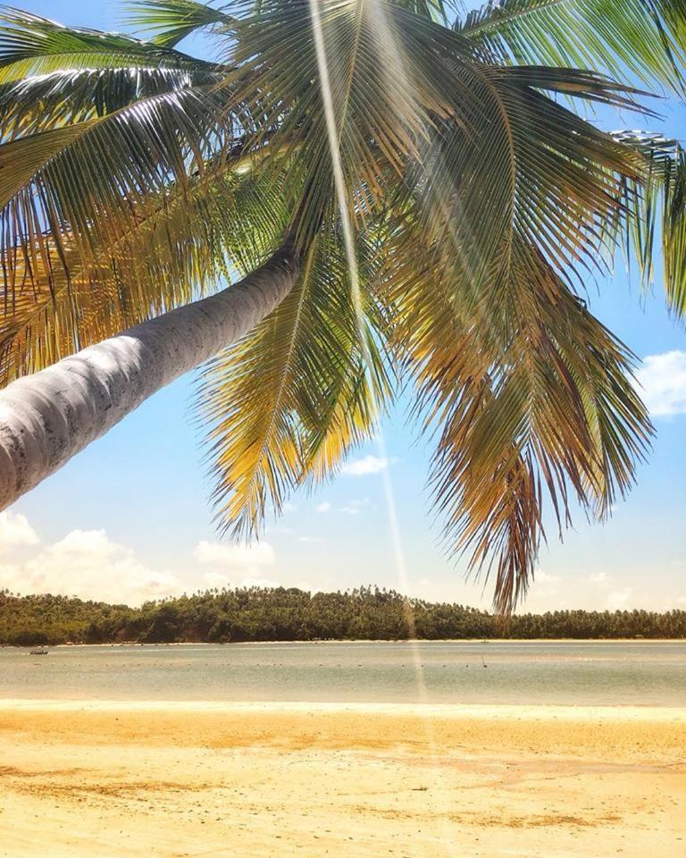 Lindo Flat Carneiros Daire Tamandaré Dış mekan fotoğraf